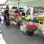 Senorio Entrada Puntaprima Daire *